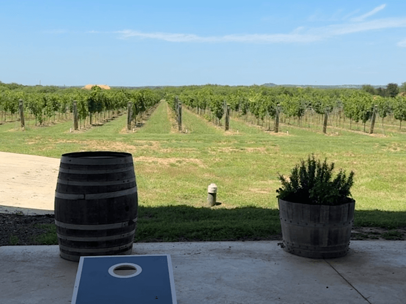 cellar-rat-wine-tours_venue_hilmy-cellars_vineyard-patio