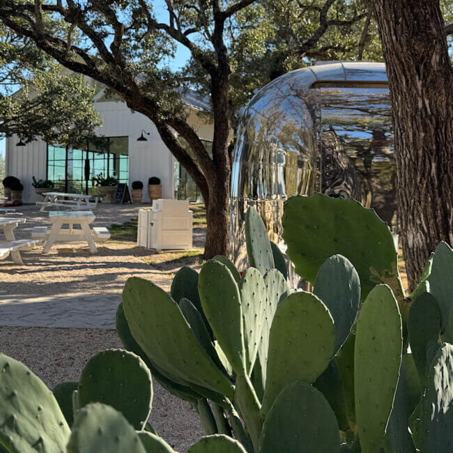 How to choose which wineries you visit - Signor Vineyards - Fredericksburg, Texas - Cellar Rat Wine Tours