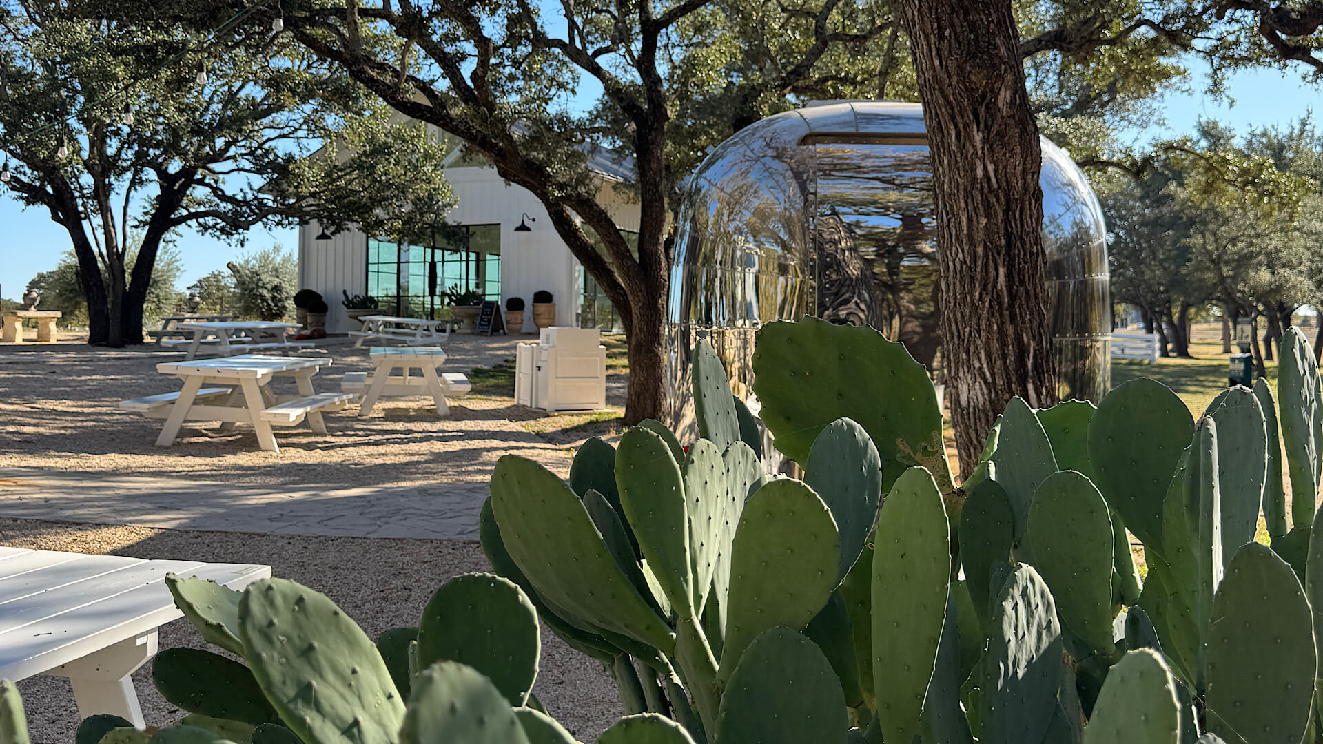 How to choose which wineries you visit - Signor Vineyards - Fredericksburg, Texas - Cellar Rat Wine Tours