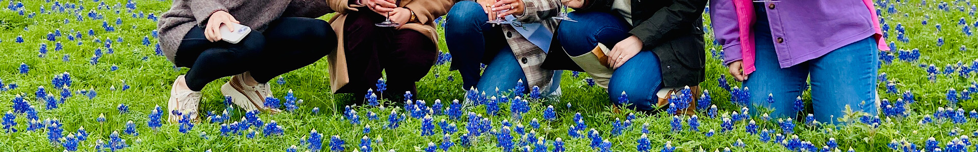 cellar-rat-wine-tours_blog_bluebonnets-fredericksburg-texas Winery bluebonnets near Fredericksburg Texas