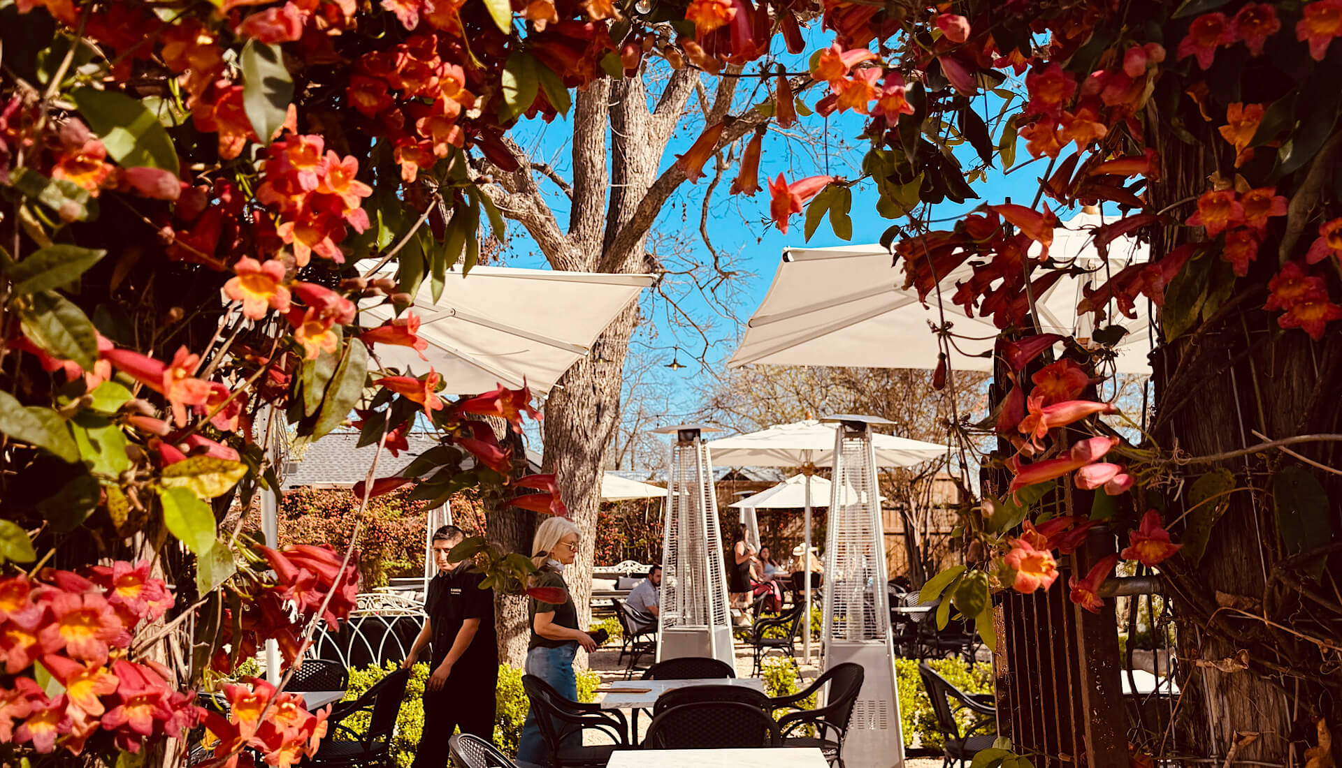 Texas Hill Country Wineries Map - Fredericksburg, Texas - Signor Vineyards