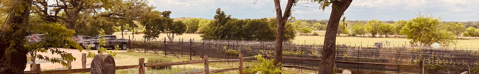 cellar-rat-wine-tours_blog_fredericksburg-2-day-itinerary_wine-tour 2 Days in Fredericksburg, TX: The Perfect Wine Weekend Itinerary - Wine Tour