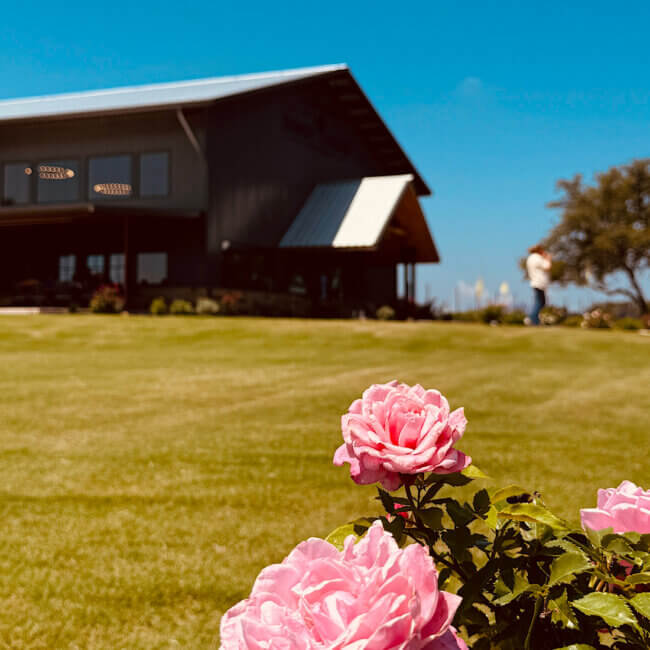 Best Time to Visit Fredericksburg, Texas | Sandy Road Vineyards