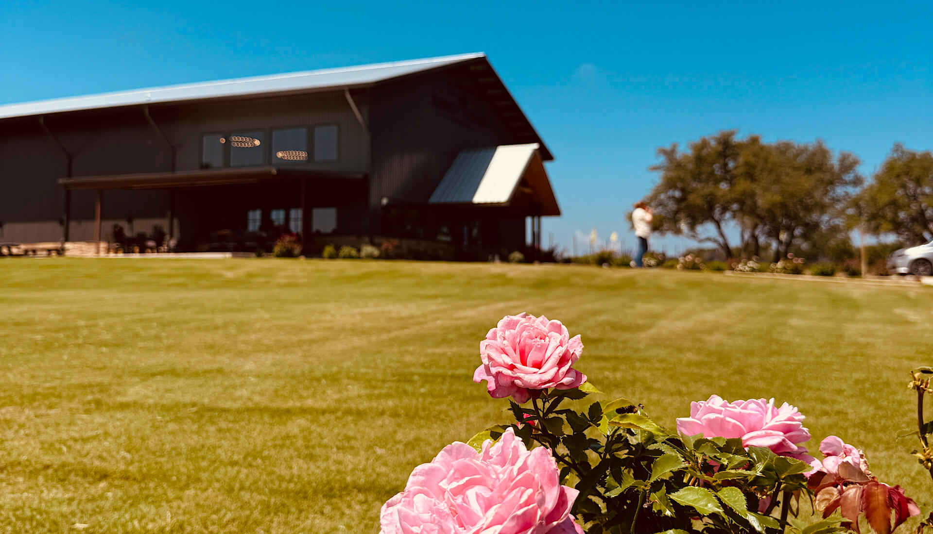 Best Time to Visit Fredericksburg, Texas | Sandy Road Vineyards