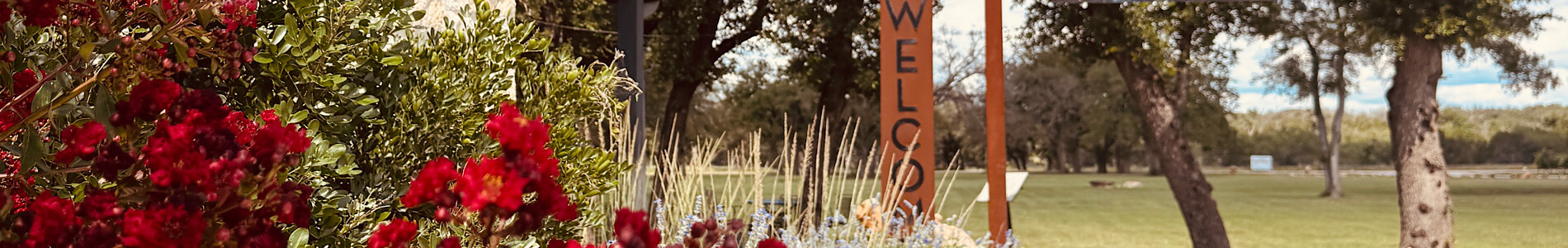 Self-Guided vs Private Wine Tours in Fredericksburg | Which Is Better? | Couples Trip