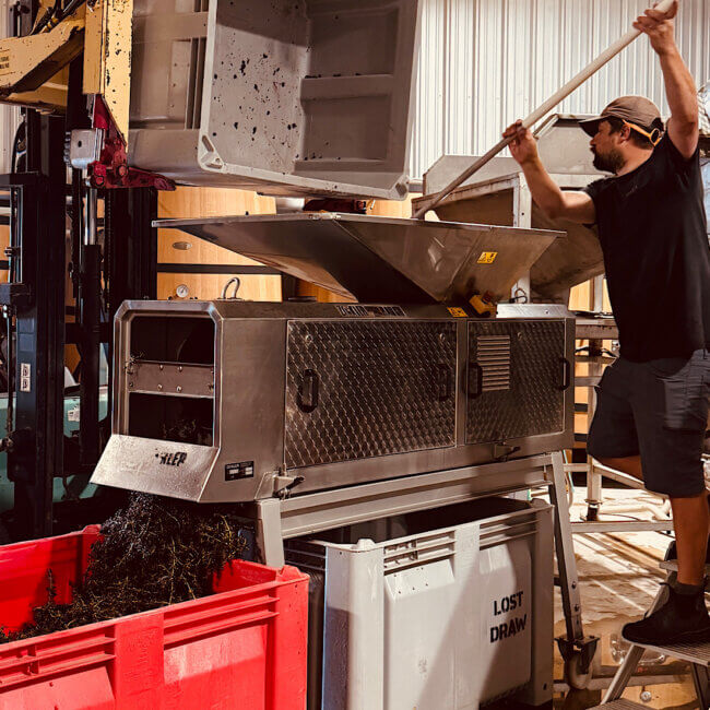 What is Harvest Like in Texas Wine Country? Lost Draw Cellars | Johnson City | Cellar Master | Winemaker
