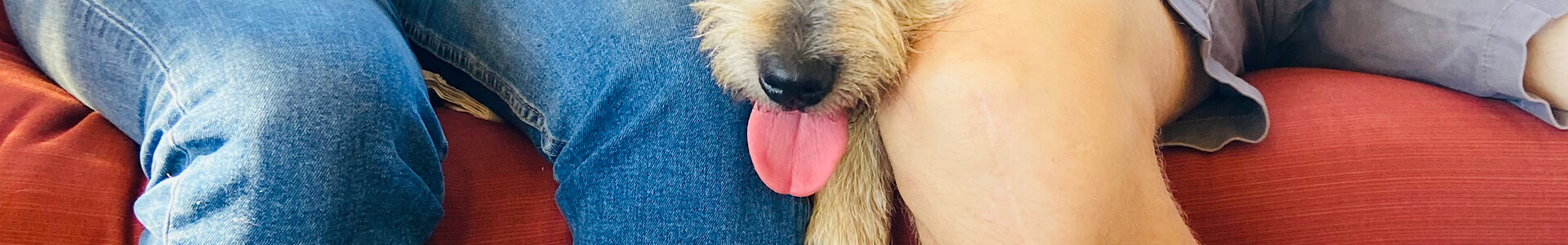 Dog-Friendly Fredericksburg TX: Wineries, Restaurants & Things to Do With Your Pet | Outdoors