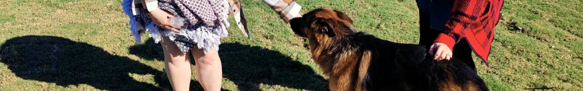 Dog-Friendly Fredericksburg TX: Wineries, Restaurants & Things to Do With Your Pet | Play Time