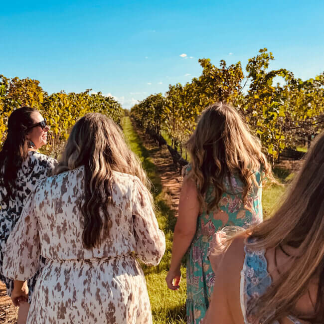 Fredericksburg Wine Tasting for Beginners | Private Transportation | Slate Theory Winery