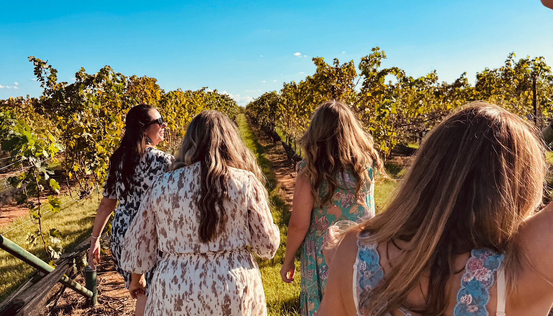 Fredericksburg Wine Tasting for Beginners | Private Transportation | Slate Theory Winery