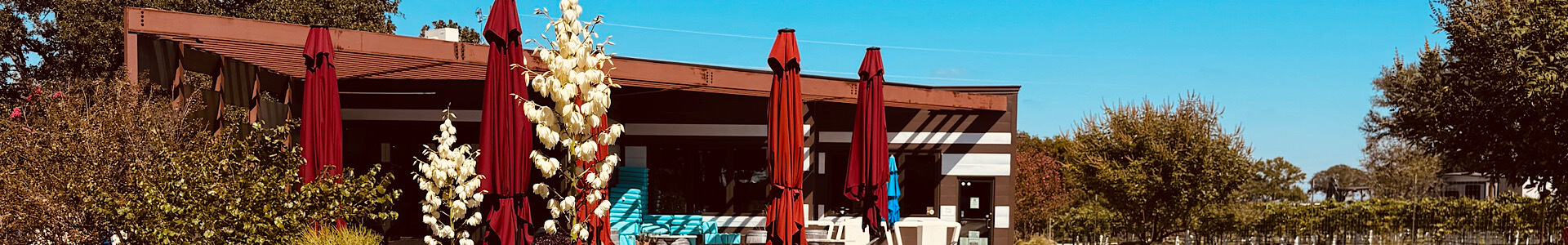 Fredericksburg Wine Tasting for Beginners | Private Wine Tour | Adega Vinho Winery